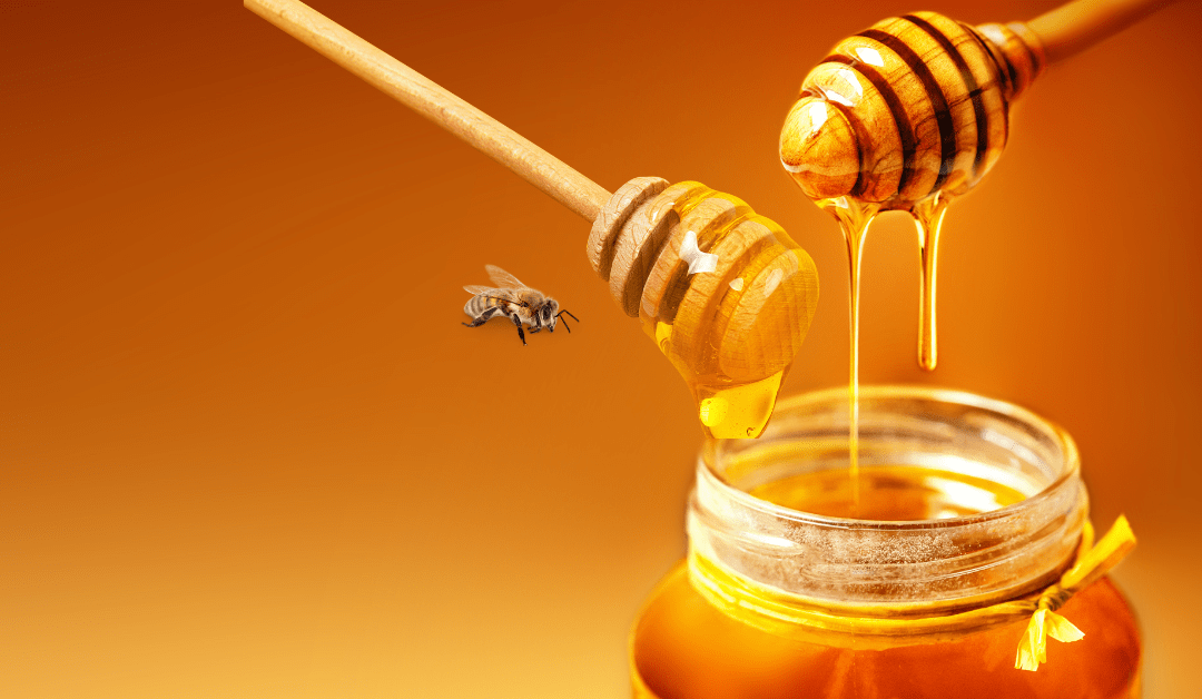 Benefits of Organic Honey [Nutrionists Advised]