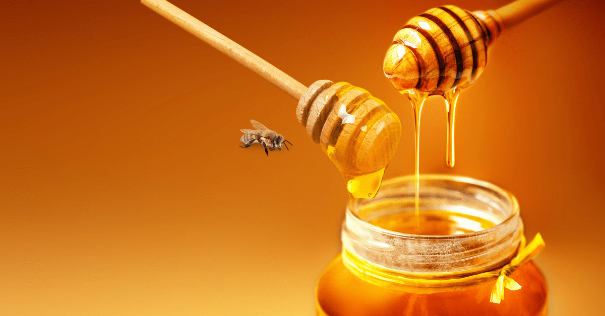 Organic Honey-min Organic Honey-min