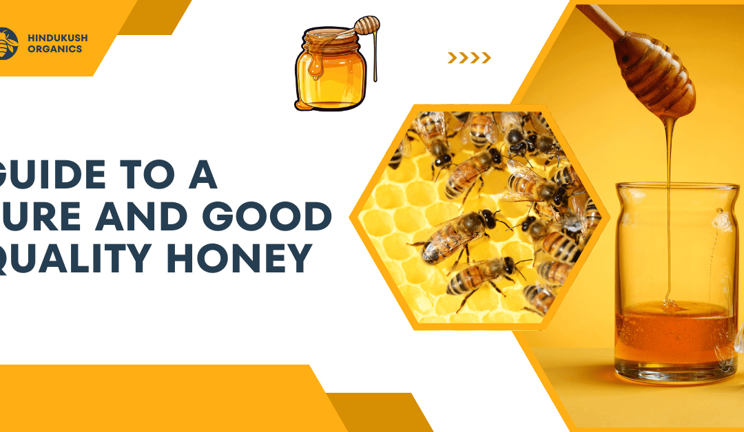 What Makes the World Best Honey? A Guide to Quality and Purity