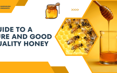 What Makes the World Best Honey? A Guide to Quality and Purity